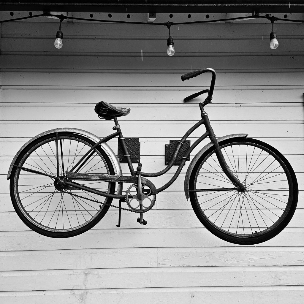 bayview bicycles
